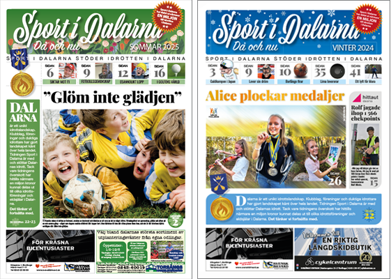 Sport i Darlarna